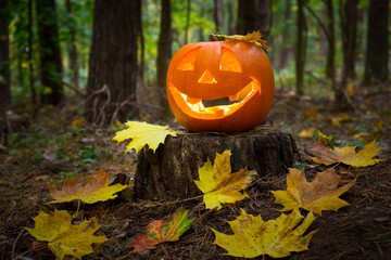 Halloween pumpkin glowing in the dark forest