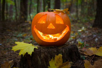 Halloween pumpkin glowing in the dark forest