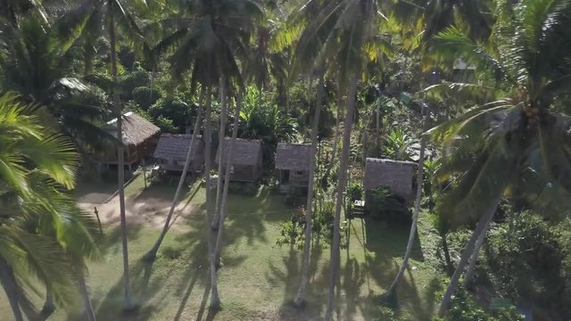 Moving from right to left you can see backpacker palapas through the palm trees in the morning light on Koh Tonsai, Rabbit Island, Cambodia.