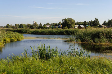 Fototapeta na wymiar Small river with reeds