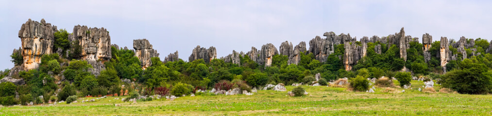Fototapeta na wymiar Panomaric view of Naigu Shilin limestone pinnacles Stone forest, Yunnan Province - China. The Stone Forest or Shilin is a UNESCO World Heritage Sites near Kunming