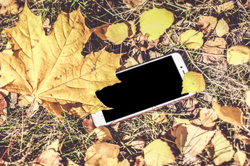Colors of Fall. Black phone with a place for your logo