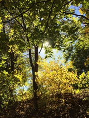 Autumn in Ottawa, Canadian Capital