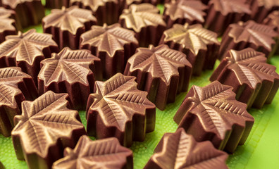 Chocolate Marple Leaf