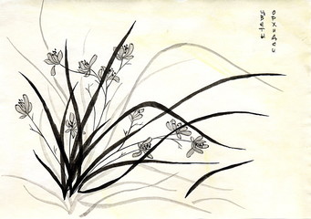 Рисунок тушь кистью на тонированной бумаге "Цветы орхидеи"