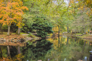 Lake with the reflections of nature
