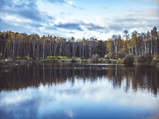 lake in the forest