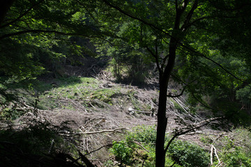 Traces of avalanches from the last winter, valle della Volpara, Umito, Italy 