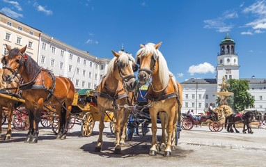 Naklejka na ściany i meble Old horse tourist carriage in Salzburg, Austria