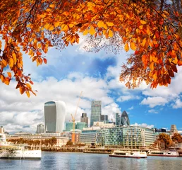 Foto op Canvas London with modern city against autumn leaves in England, UK © Tomas Marek