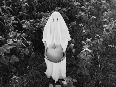 A Ghost at a Pumpkin Patch