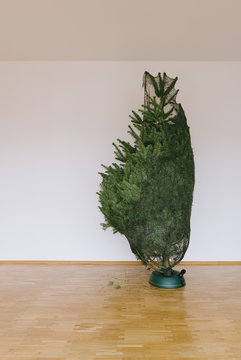 Half packed christmas tree