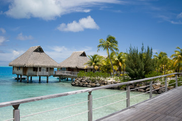 Fototapeta premium bora bora 