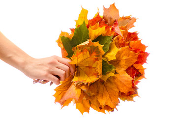 Female hand bouquet of autumn leaves