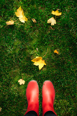 high angle view of woman in red rubber boots on green grass full of autumn leaves