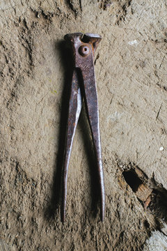 Old rusty cutter tool on wood