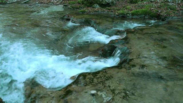 The water of a stream that flows into the woods	