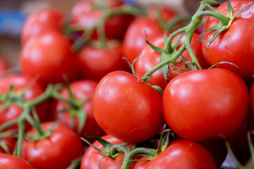 closeup of vine tomatoes