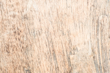 wood texture very old oak, the rough wood is not uniform