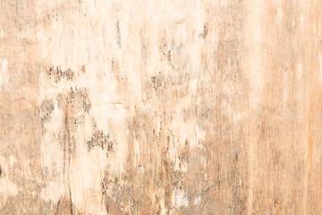 wood texture very old oak, the rough wood is not uniform