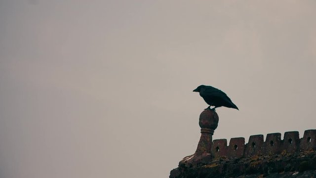 Large crow on the rooftop of a cemetery chapel flying away in slow motion