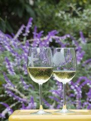 Two glasses of white wine side by side outdoors