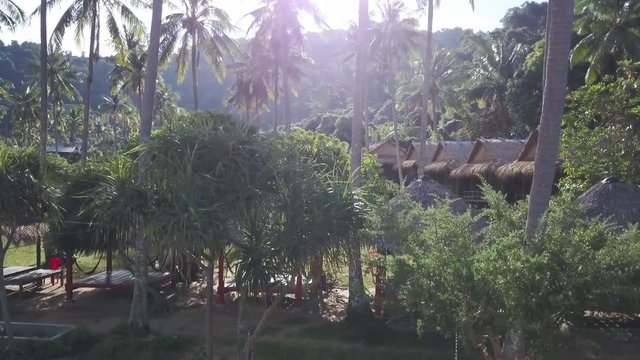 Camera slowly rises from the beach up to the palm trees showing a backpacker tourist village on Koh Tonsai, Rabbit Island, Cambodia