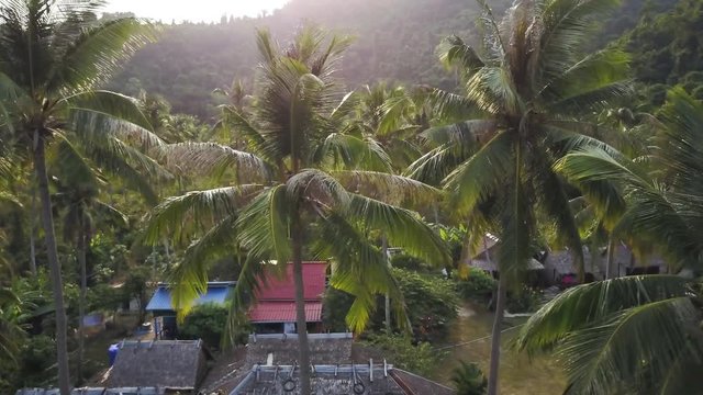 Aerial camera tracking to the right at the altitude of the top of the palm trees as the sun twinkles through the fronds on Rabbit Island, Koh Tonsay, Kep Province, Cambodia.