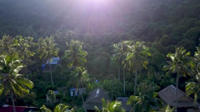 Sun just rising over the mountain makes the view of a backpacker village very contrasty and the palm trees sparkle with the light coming through.