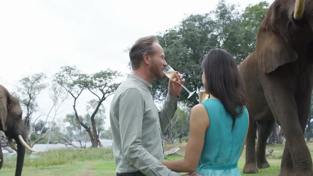  Couple on African vacation drinking champagne at wild elephant nature reserve