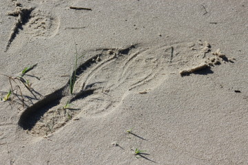 Footprints