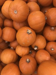 round pumpkins