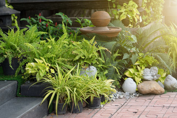 Small garden for decorated home