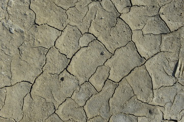 Dry soil cracking