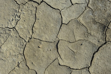 Dry soil cracking