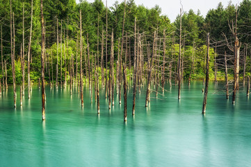 blue pond in biei