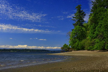 a picture of an Pacific Northwest shoreline in spring