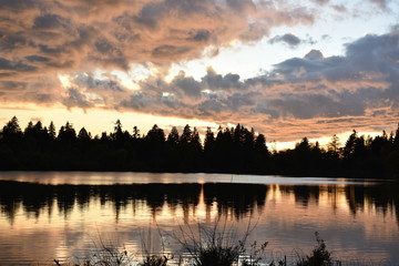 Fototapeta premium nature