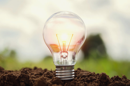  light bulb growing in soil concept idea power energy in nature