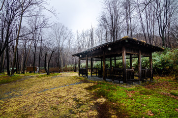 Beautiful jungle trek on the way to Oyunuma. Oyunuma is a hotspring stream at  Jigokudani hell valley, Hokkaido, Japan. Here is famous for visitors to heal foot by hot spring water.