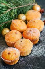 Set of vanilla muffins with chocolate cream filling with fir tree branches. Black stone background.