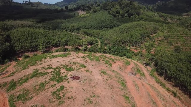 Deforestation. Logging of rainforest in Thailand. Environmental problem of oil palm production, aerial footage