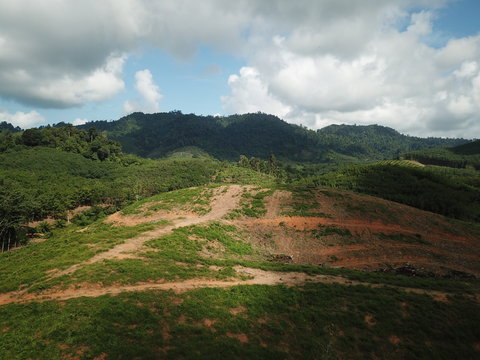Deforestation. Aerial footage of logging in Thailand. Rainforest destroyed for palm oil plantations