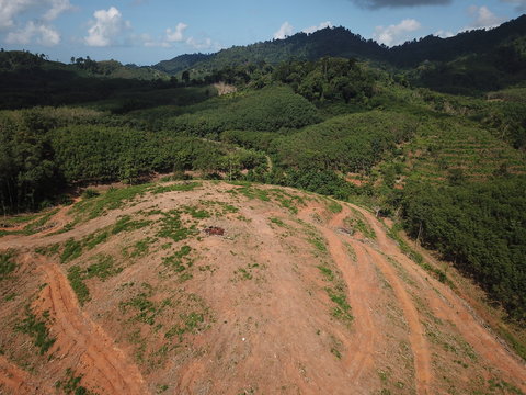 Deforestation. Aerial footage of logging in Thailand. Rainforest destroyed for palm oil plantations