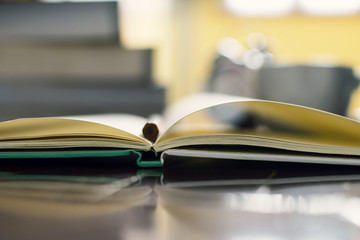 Close up of spiral notepad placed on wooden desktop.