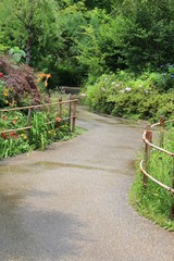 雨上がりの公園