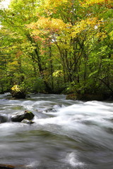 青森　奥入瀬渓流