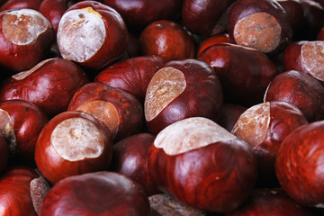 Lot of chesnuts. Chestnut pattern.