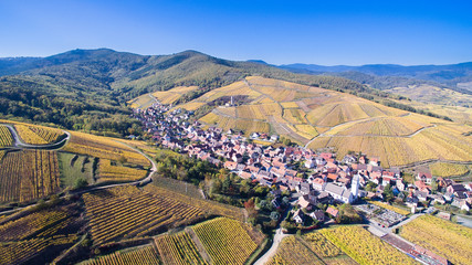 Vignoble alsacien en automne