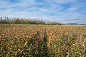 the road across the field